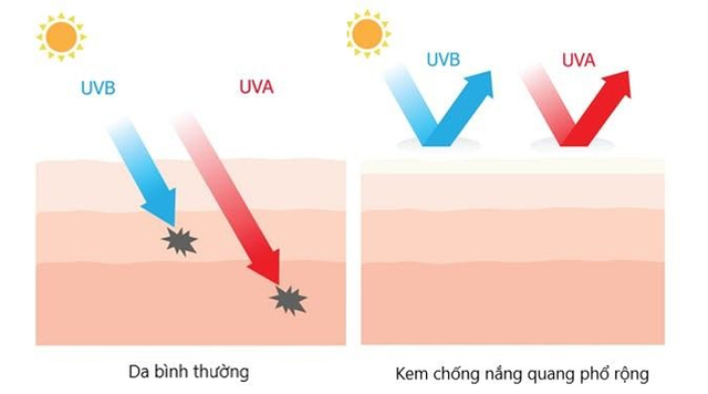 Top 10 kem chống nắng phổ rộng bảo vệ da toàn diện dưới nắng hè - Ảnh 2.