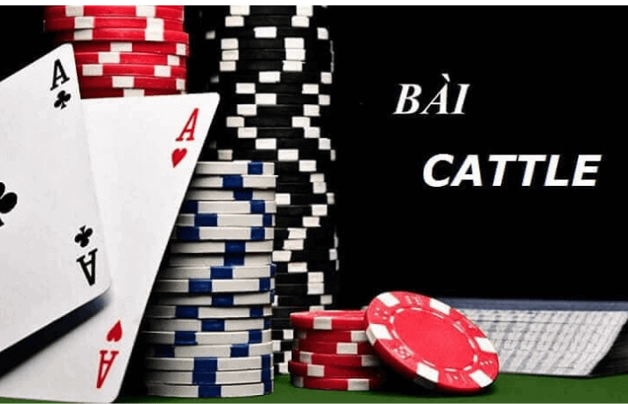 Hướng dẫn đơn giản cho người mới bắt đầu chơi Cats